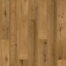 Gold Oak